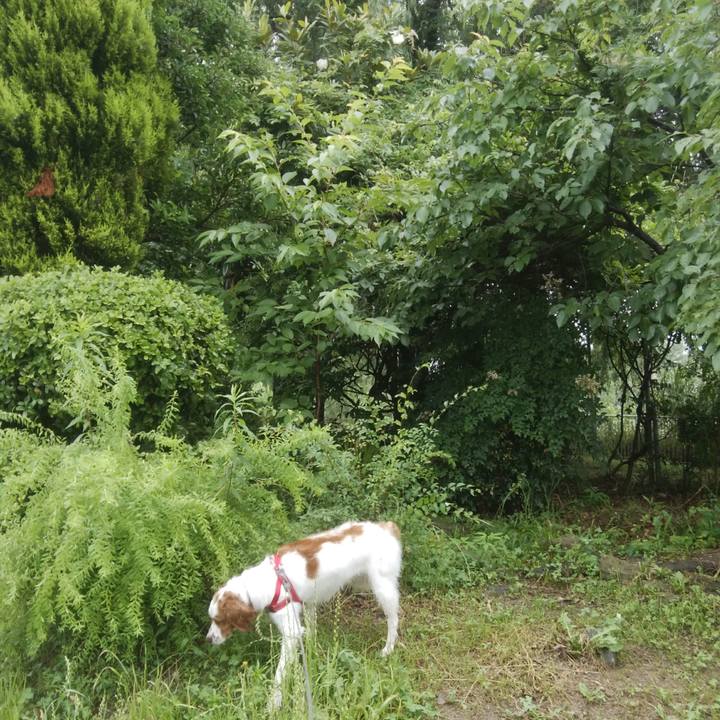 Db1b6adf e6e5 4d55 b002 a1b996e495a4 1529560606864