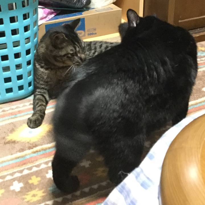 Db1b8a9c 02a4 441e 8397 baa678ff7b80 1555844963128