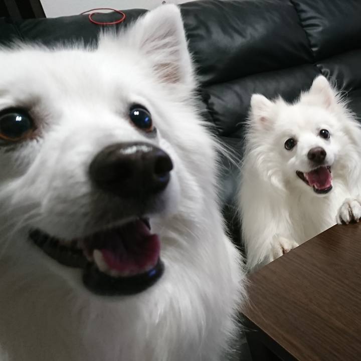 Db1b901d 6153 4fbc acaa 9158a6478938 1613636591537