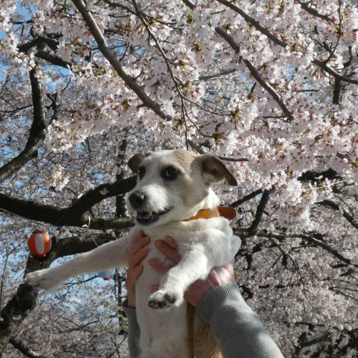 Db1b95b5 1b8c 4ee2 8ffb 71828f9d9cd2 1617777949314