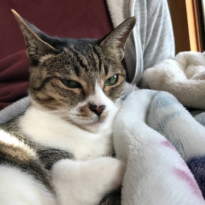 Db1bc579 f5e6 4694 a296 dfd66731f87a 1513645427327