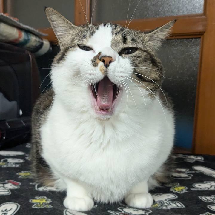 Db1bd122 3b16 4e2e a407 dfb50875d0ed 1734875581987