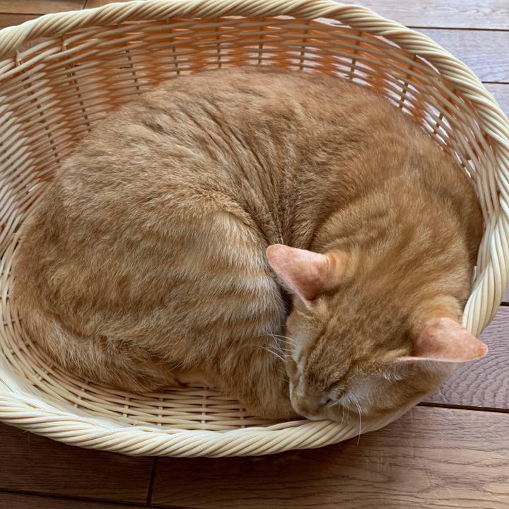 Db1bd384 5376 4993 a931 b606dd37f90d 1663914825305