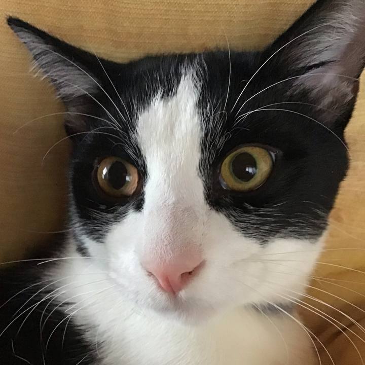 Db1bdcf0 a681 4a04 af85 afe950e0bd7c 1638837823528