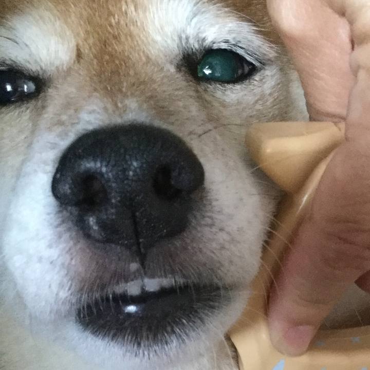 Db1be31d be80 4924 8a94 58e32b7549e0 1593828952926