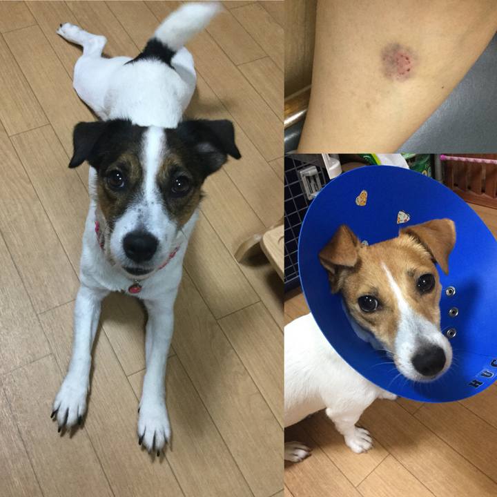 Db1bf3b3 79cb 44b2 b98d 76a409e6cd30 1537855143935