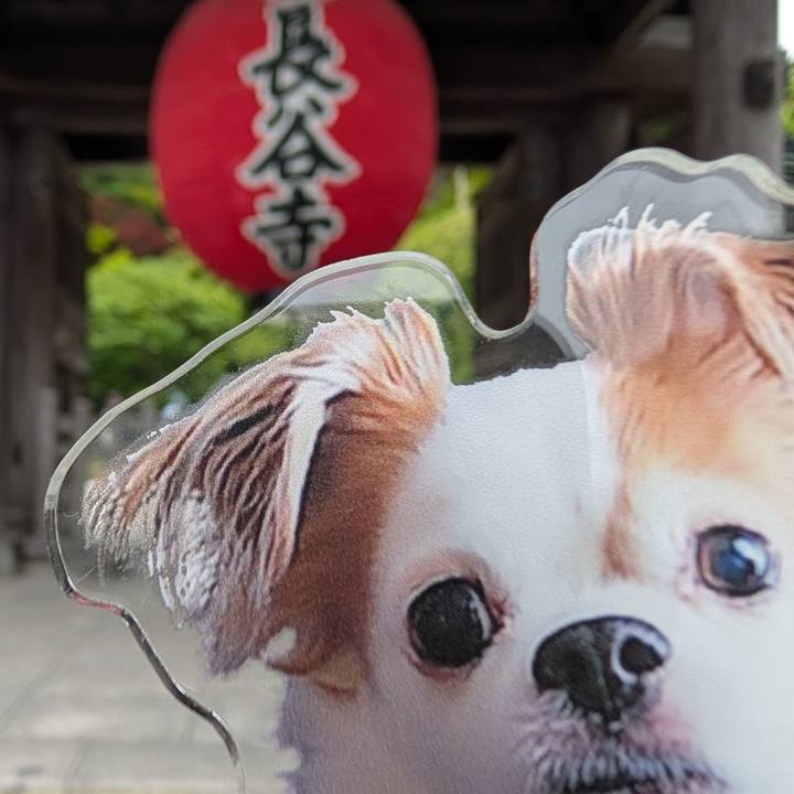 Db1c1f34 e6ae 41cc b7b1 e306d287b1a9 1749891400239