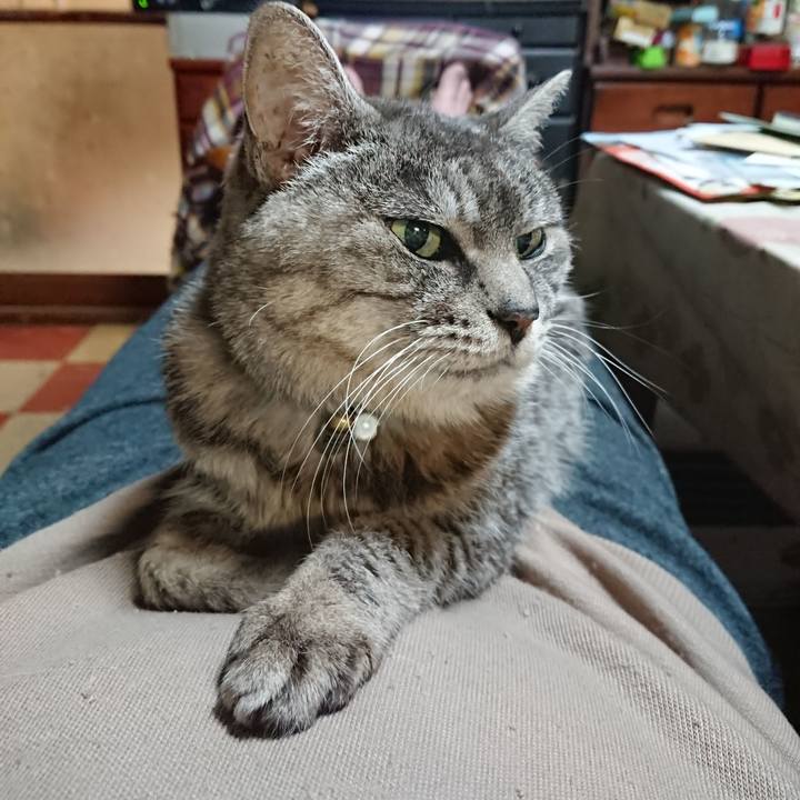 Db1c6920 4fe2 4174 b5e1 f220ff9df5d1 1575370890613