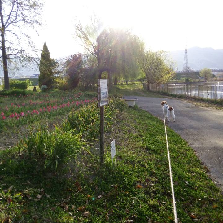 Db1c99df 9610 41e8 9826 eff445a27bbd 1522368378826