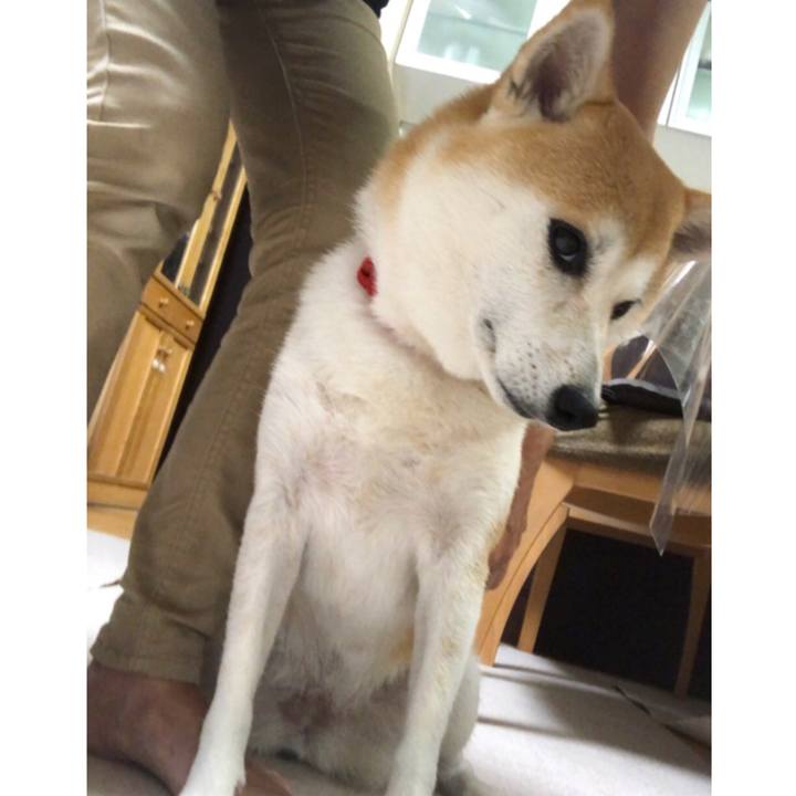 Db1ca30d 9cba 4c9b 8955 fda6f02abd07 1537484778215