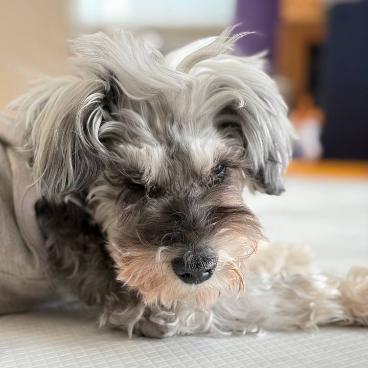 Db1ca788 503a 4d97 8235 0d9876e2b3e9 1774162630664