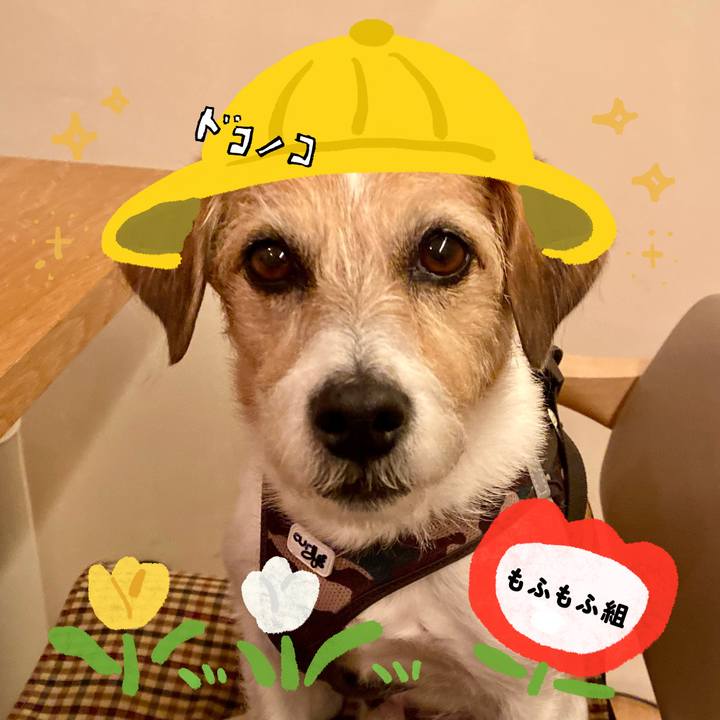 Db1cbbf5 8b4a 470a a1ae 09970533ce6e 1712417690320