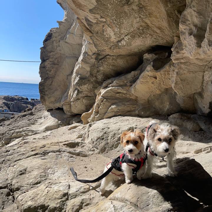 Db1d4430 081b 4955 9890 e6e889744b7b 1771501260894