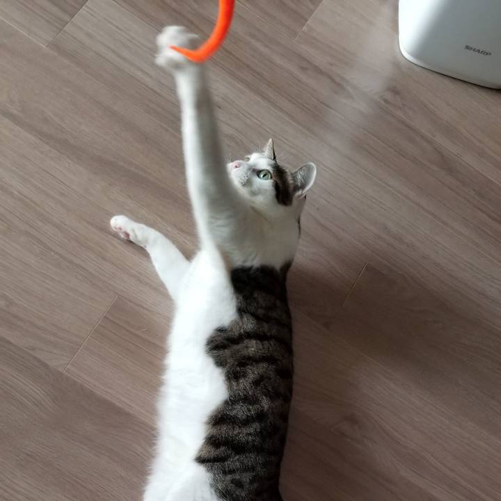 Db1d49a8 3a10 4855 a5b0 833e659b0065 1552695452558