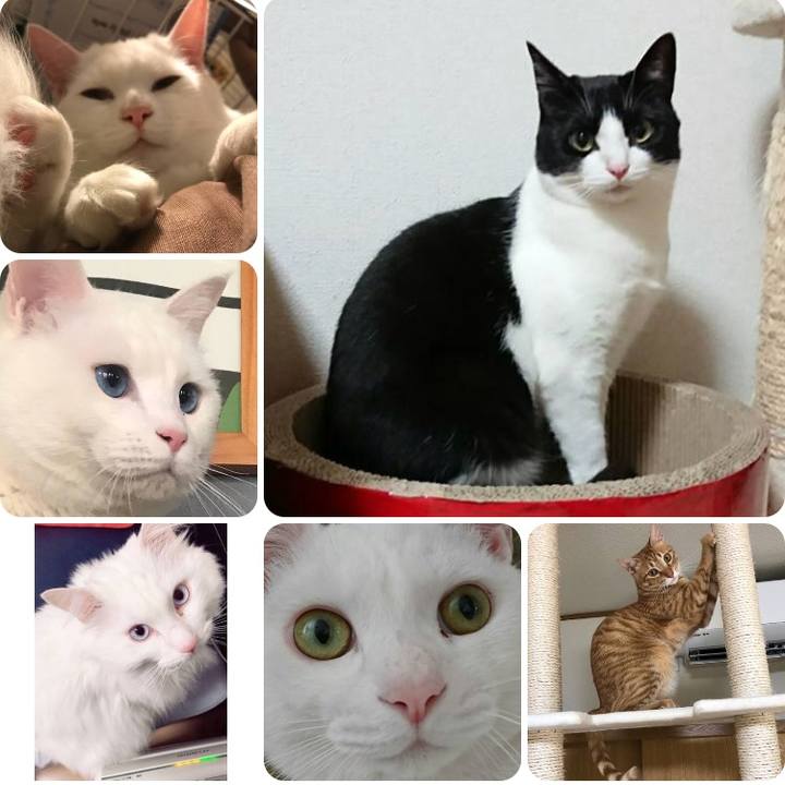 Db1dded0 968e 4ffd 8f2a d6033e0d2924 1526383442557