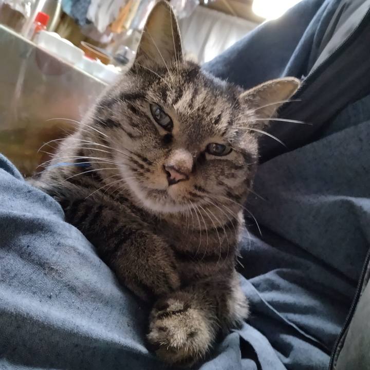 Db1dfb85 2191 4772 83c3 8662baddfc17 1701426871800