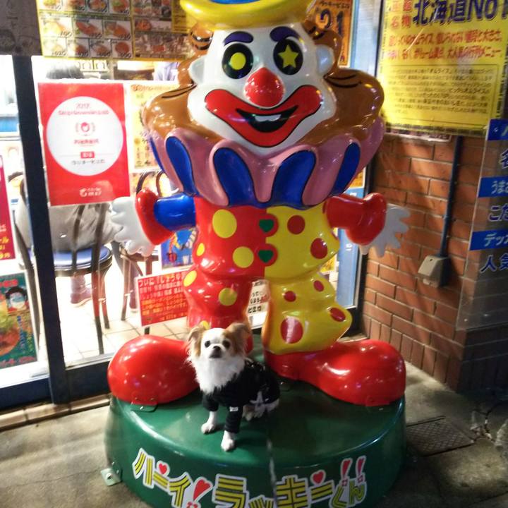 Db1e0914 1fe1 45a5 a026 8b6fe66aa2a8 1538485122025