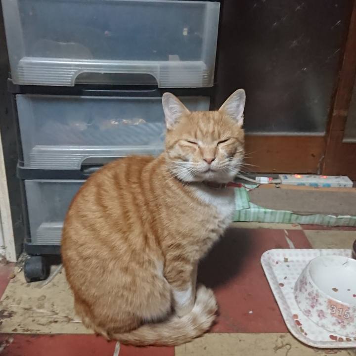 Db1e3bda b306 4964 b843 5b498ad74954 1572291935668