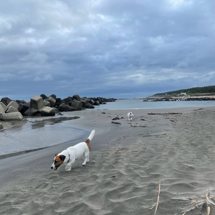 Db1e3e49 46d6 4356 b9b6 69c7ec2415e5 1719185259048