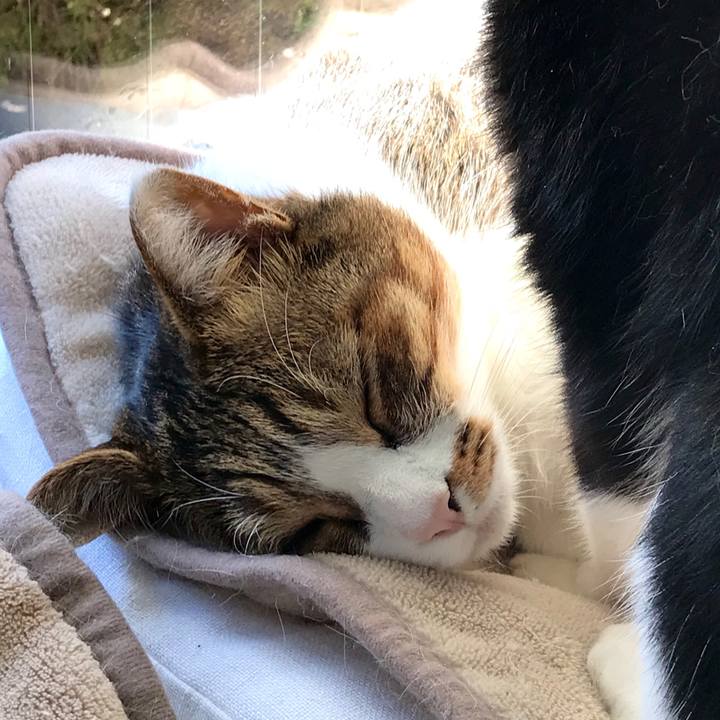 Db1e5307 0d2b 4398 8c21 2c18c297c634 1575432396677