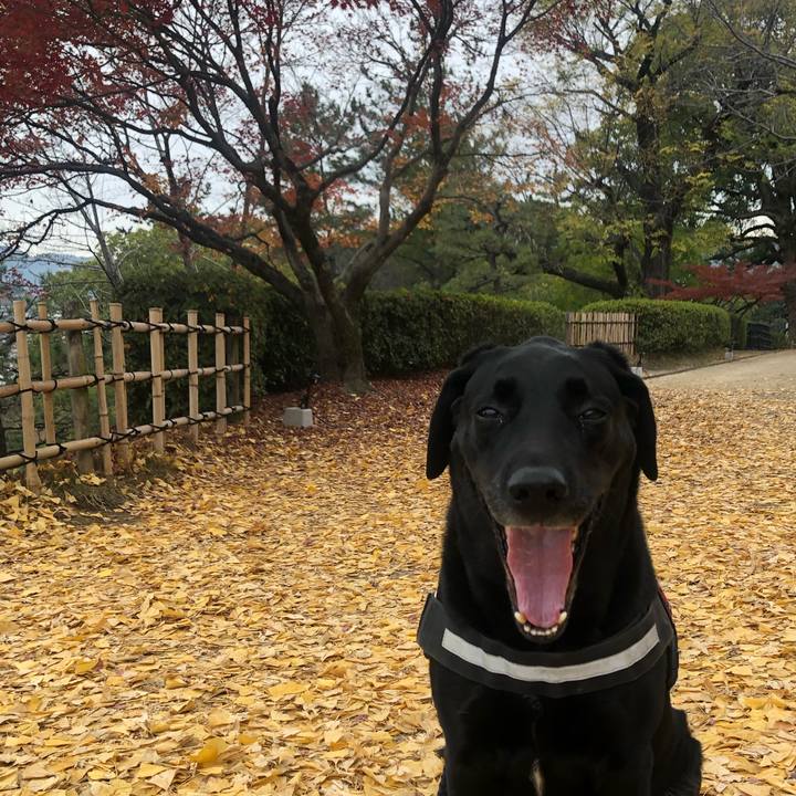 Db1e5c30 45cf 48ac ac2c 4e34e06f8bcf 1671097079394