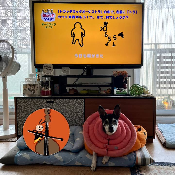 Db1e6561 0477 48d2 ac14 ff1703275554 1653430664935