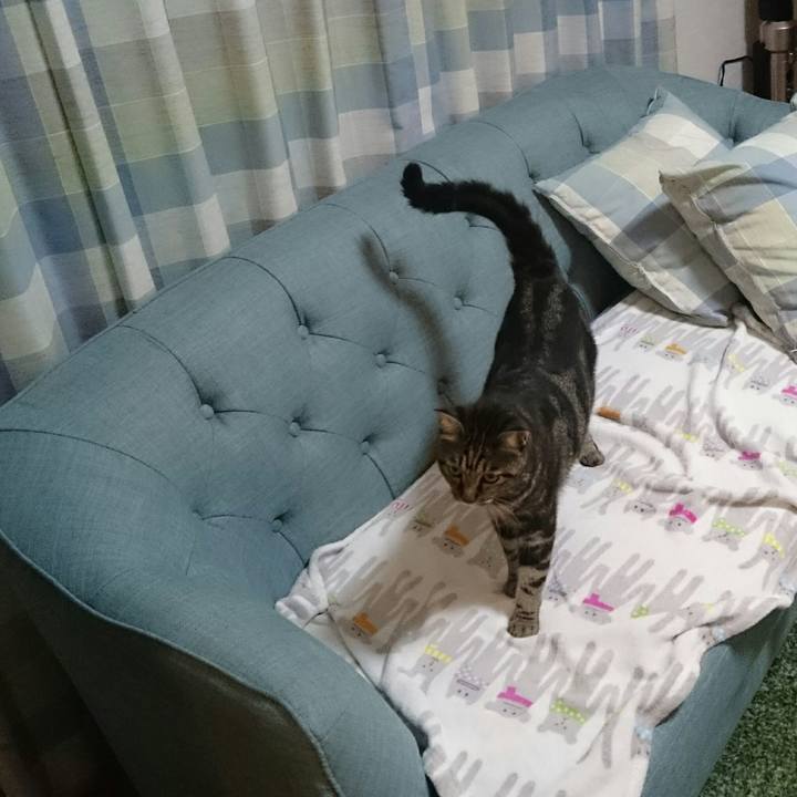 Db1e65f4 0dbd 46c9 a6d0 187871b1e549 1537704207399