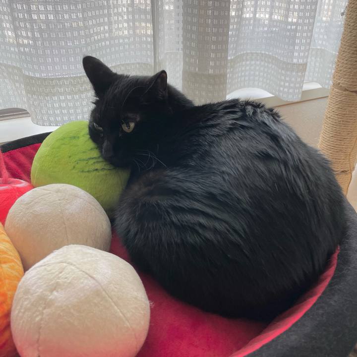 Db1e7a1f 439d 4598 bce1 3110093af756 1678510829653