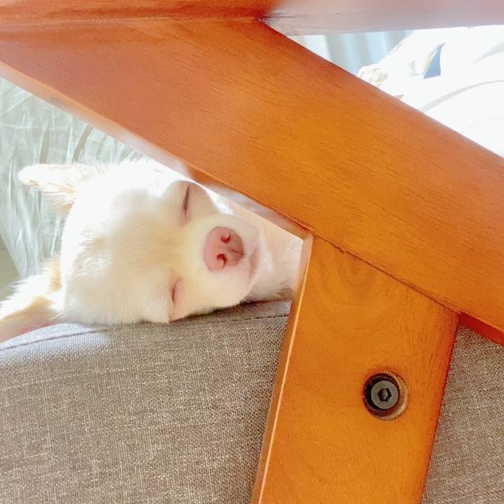 Db1e98be f849 488d 9e5e 6de9bf7d559e 1631570409020