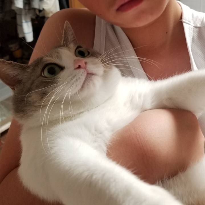 Db1ebb24 7191 4a05 8b5e 476fee62beea 1575643888150