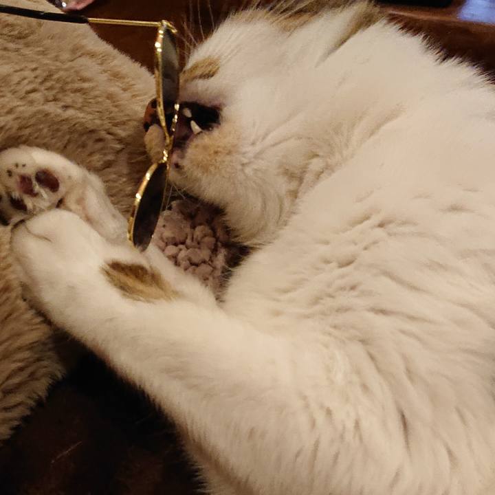 Db1ec734 9418 45f0 918d 8c39c458739a 1699952688357