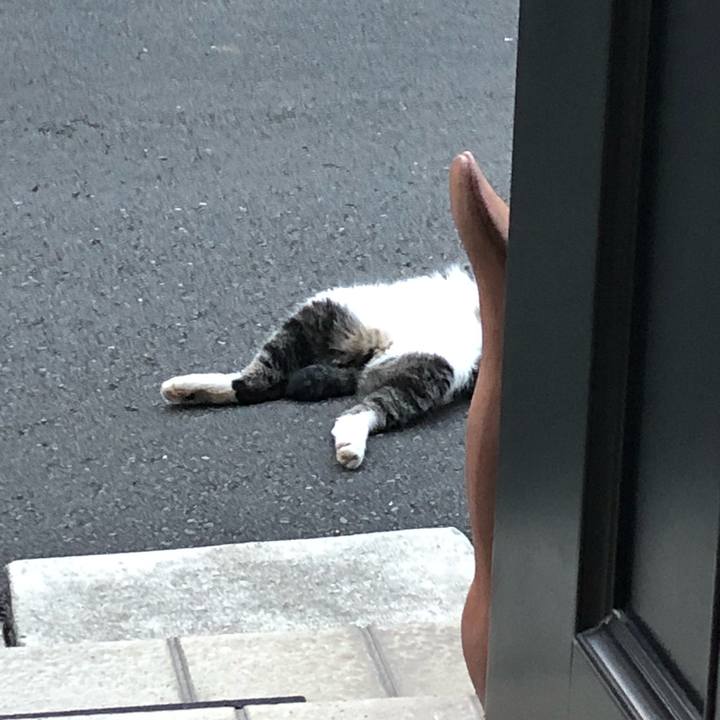 Db1ec74d 4708 4767 ad10 ab0d723405ab 1567428731322