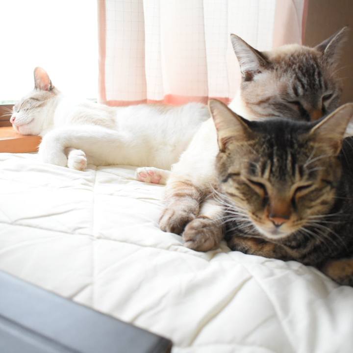 Db1ed025 8248 4df2 aedc 3359aafdf64e 1536448187942