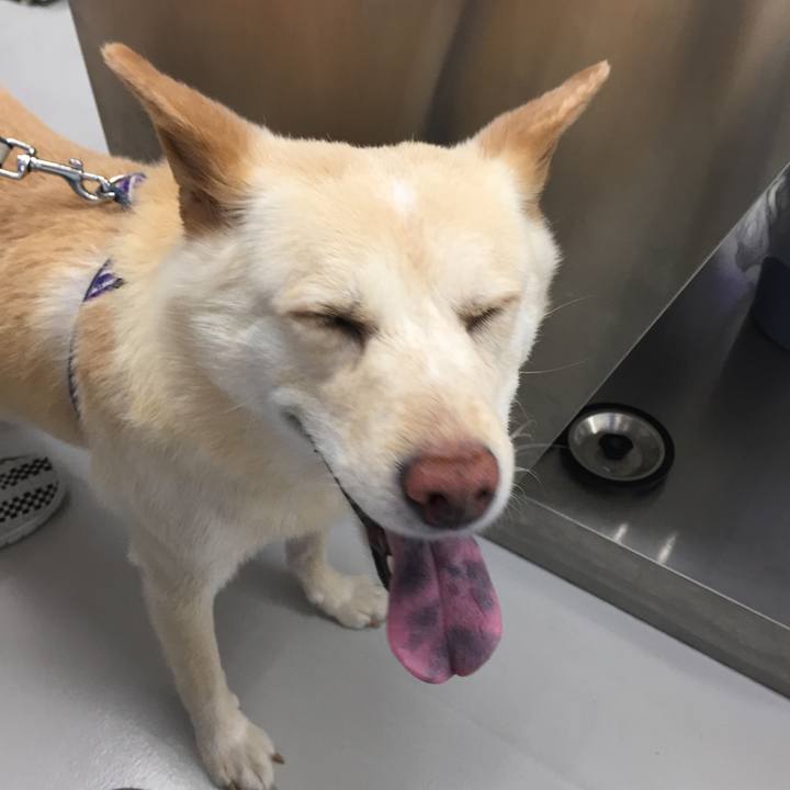 Db1efaa1 eab0 4427 beaf 6b2963e4dc8f 1528678640301