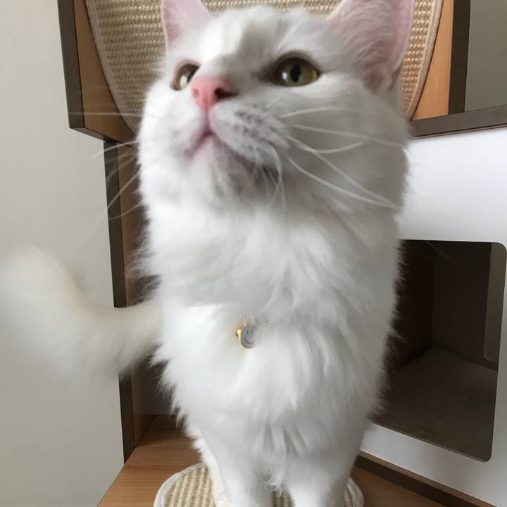 Db1f3888 8ce5 49c7 9ba9 27f90c10b594 1528775756484