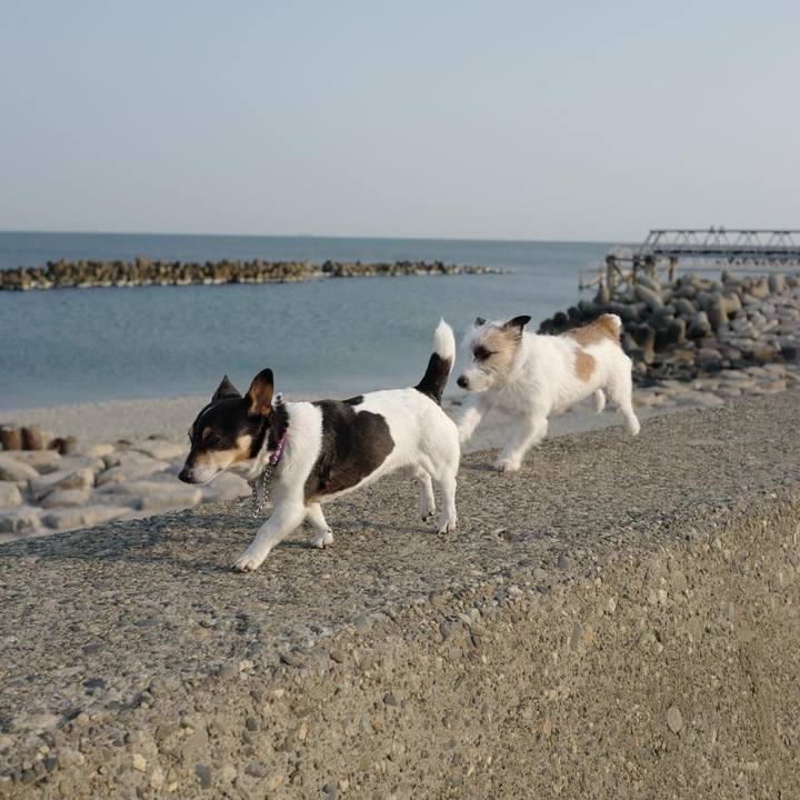 Db1f3c4e a454 4523 9fc4 ae217bc97313 1710422642046