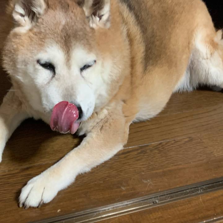 Db1f4029 56c3 46c4 a00b 79fe9a0475f7 1632484415587