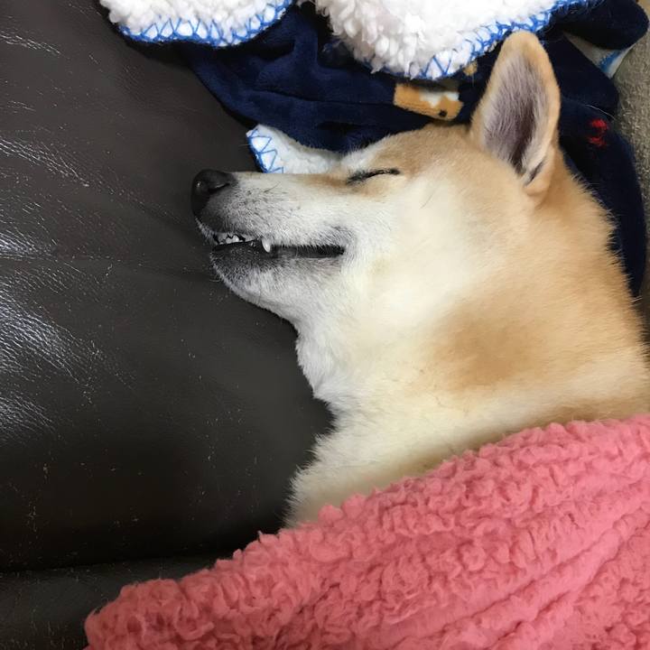 Db1f4c7c 1efa 468a 8bf7 83c14cef79a0 1518410365539