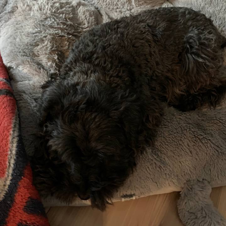 Db1f6060 96da 44ba 9738 15b09b97ca0c 1606185624758