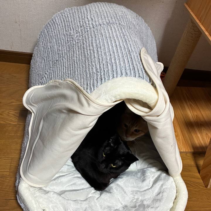 Db1f73b6 b4b4 4397 b80f c0a4790e417b 1761909291465