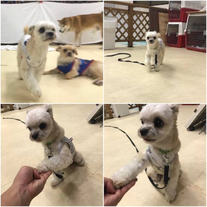 Db1ff6fa 6534 46da b3e7 b47b72dd7b40 1563272144747