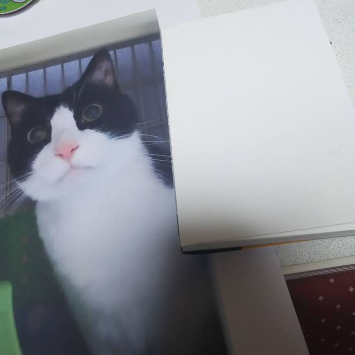 Db200f69 4dce 4371 b1a9 709b0cedf6f0 1572349242651