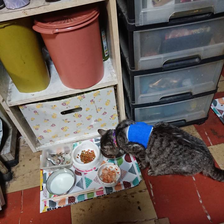 Db202c6c 0c60 44cc 80f0 49eba54e9326 1586808593822