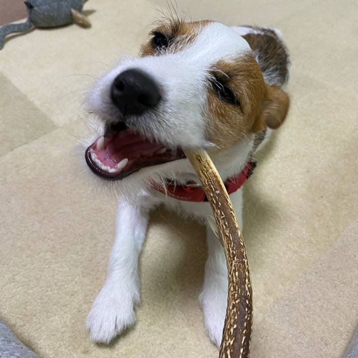 Db2052a2 bdef 44b1 9fe9 6daf8464bf3b 1620221563841