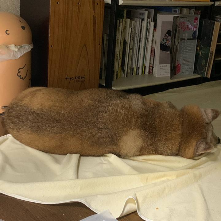 Db2054df d799 4adf 93ef deece2b3237d 1683037377900