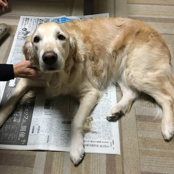 Db206079 054d 4862 bc7c 850ba59ee24a 1546260681775