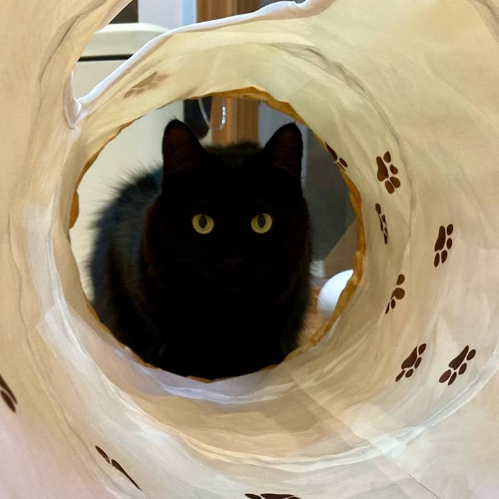 Db20955d b6ea 45a0 bf2c 972b366b1a00 1762160908535