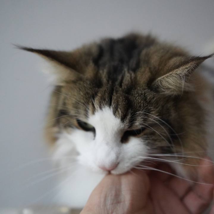 Db20ae76 df27 4e42 b634 a9b62d03caa0 1582515401496