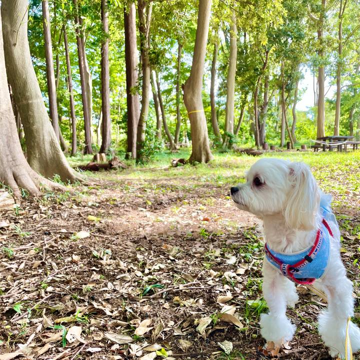 Db20f071 feab 4841 bb56 ffe1fc058baa 1632970377253