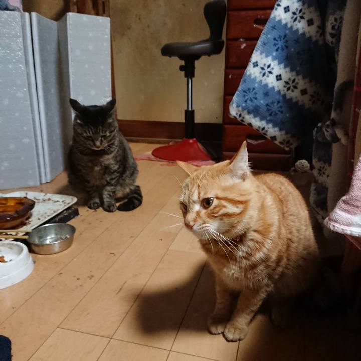 Db2108a9 2ac9 460a bf1c 9f86f1f56222 1648204418594